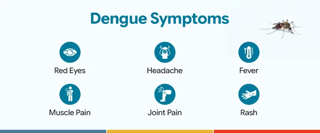 Dengue Symptoms copy